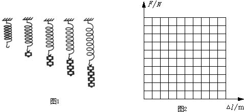 新人教版 九年级 上学期 - 15.1 电荷摩擦起电 - 探究弹簧测力计原理的实验 1\/3 - 试题 - 菁优网