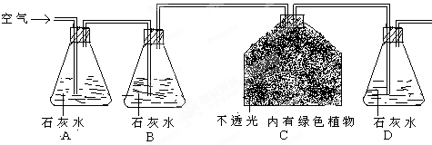 对"植物呼吸作用产生二氧化碳"演示实验的改进