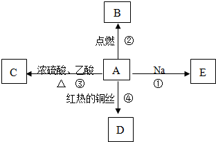 菁優(yōu)網(wǎng)