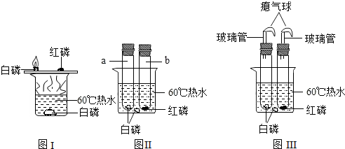2008-2009学年湖北省鄂州市九年级(上)期末化