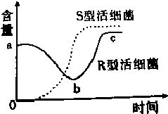 菁優(yōu)網