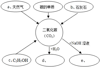 如图是某同学对二氧化碳部分知识构建的网络图