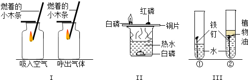 2012-2013学年河北省石家庄市九年级(上)期末化学试卷