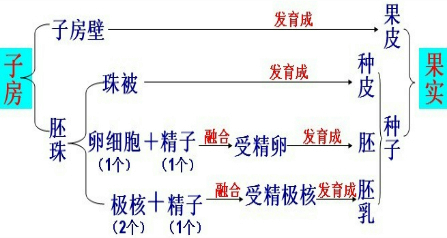 各次人口普查结果_我国以2010年11月1日零时为标准时点进行了第六次全国人口普(3)