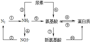 菁優(yōu)網(wǎng)