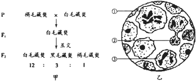 菁優(yōu)網