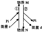 菁優(yōu)網(wǎng)