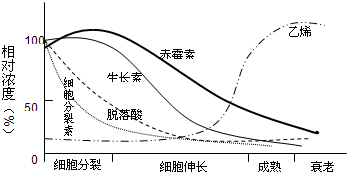 903107ae.png