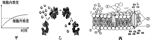 菁優(yōu)網(wǎng)