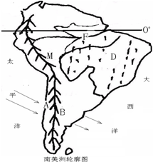 拉丁美洲的暖湿气候特征及特有的动植物 1\/1