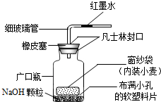 菁優(yōu)網(wǎng)