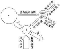 菁優(yōu)網(wǎng)