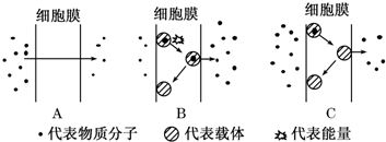 如图表示物质通过红细胞膜的示意图,请回答:(1