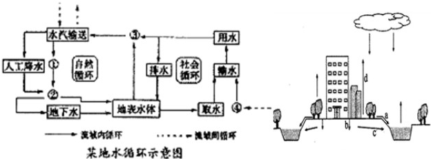 左图是某地水循环示意