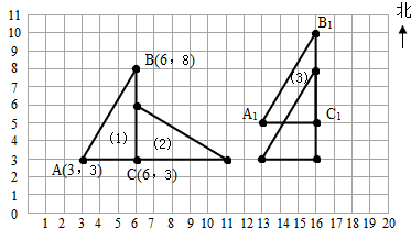 (1)在方格中画一个直角三角形,其中两个锐角的