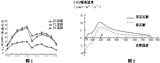 图1表示磷水平高低对植物光合速率日变化的影