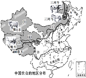 黄种人人口_此国是世界第二大黄种人国家,面积超印度,为何人口只有90万(2)