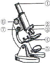 中生物科学素质和实验(践)能力生物竞赛复赛试卷