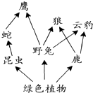 菁優(yōu)網(wǎng)