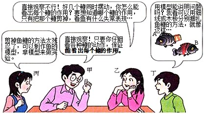 在探究鱼鳍在游泳中的作用时,某小组同学正在