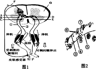 菁優(yōu)網