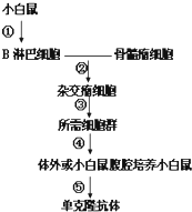 单克隆抗体的制备过程 6/16 - 毕业会考 - 菁优网