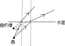 中飞翔的小鸟,小明说:快来看,鸟和鱼在水中比