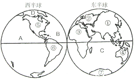 七年级 上学期