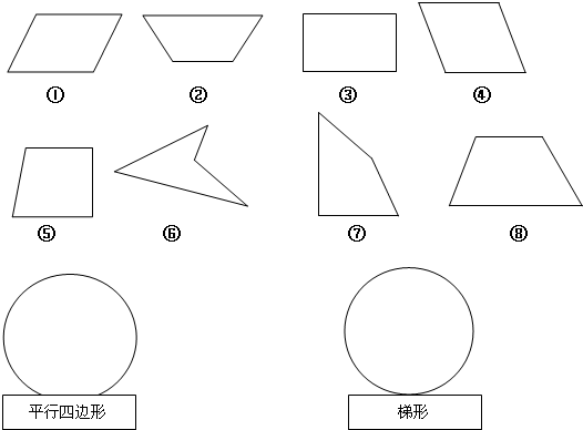 正方形,长方形和平行四边形的关系