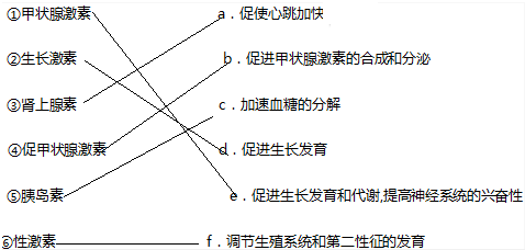 因连起来.(2)请将下列人体的腺体分泌的激素与