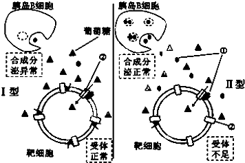 (2014江苏模拟)人类糖尿病的发病机理十分复杂,如图是Ⅰ型Ⅱ型两种