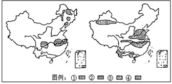 读"我国主要经济作物(大豆,甘蔗,棉花,油菜)分布图",完成