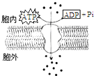 菁優(yōu)網(wǎng)