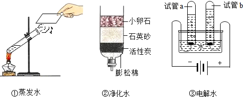 初三化学:自制简易净水器各部分(纱布,小卵石,石英砂