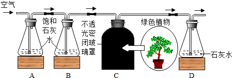 菁優(yōu)網(wǎng)