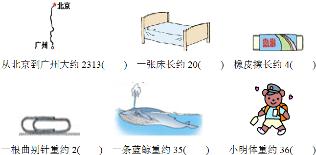 在括号里填上适当的单位