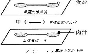 细胞生物草履虫虽然只由一个细胞构成,但也能完成营养,呼吸,排泄,运动