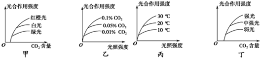 一定的实验研究范围内随co 浓度的增加光合作用强度增大 c,图丙中