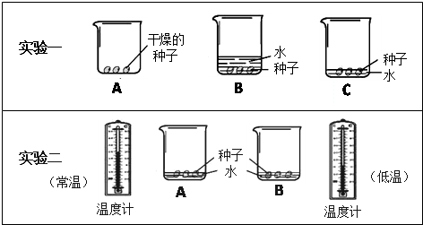 如图是探究种子萌发的外界条件实验.