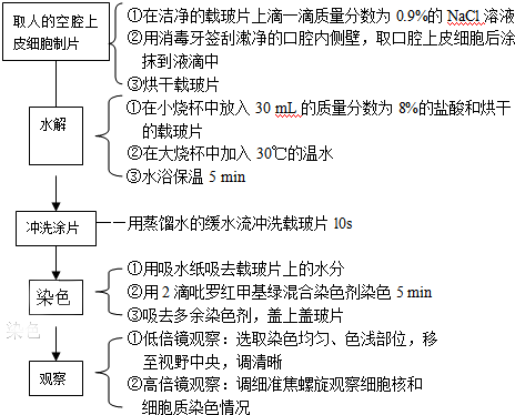 实验DNA和RNA在细胞中的分布观察中,正确的夔门高中奉节图片