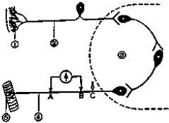 b51cc494.png