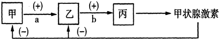 菁優(yōu)網(wǎng)