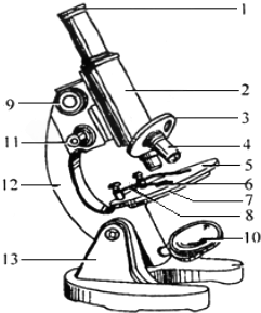 如图,光学显微镜是我们学习生物学和研究生物