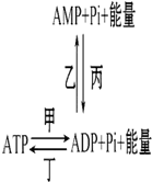 菁優(yōu)網(wǎng)