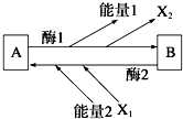 菁優(yōu)網(wǎng)