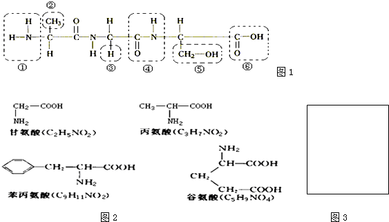 a38f9735.png