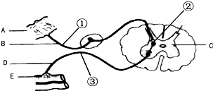 cc493000.png
