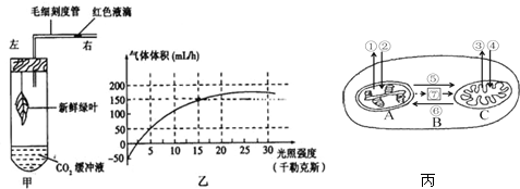 菁優(yōu)網(wǎng)