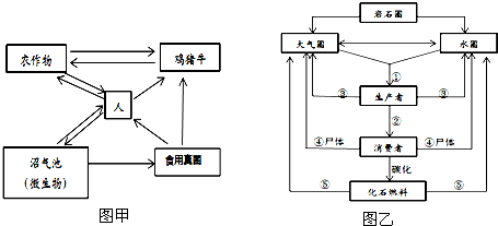 甲图是农业生态系统模式图,乙图为碳循环示意图