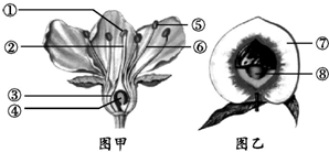 菁優(yōu)網(wǎng)